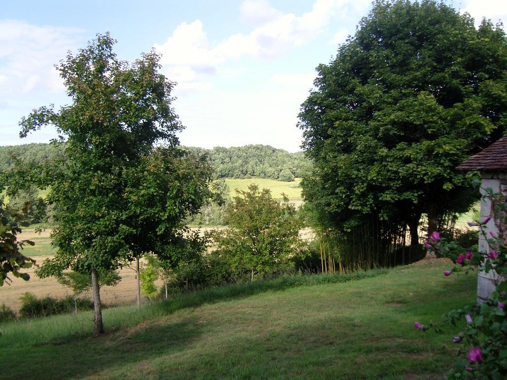 Gite De Serre Le Grand-Pressigny Rum bild